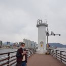 청년어시장 이미지