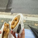 노은동로(유성-59) | #07 스쳐간 가을🍁