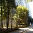 정자천로189번길 이미지