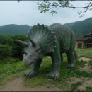 별새꽃돌과학관숙소 이미지