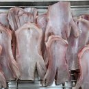 올치까까 이미지