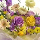 사라유치원 이미지