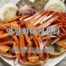 포항죽도회도매시장 | 포항 죽도시장 대게 코스 맛집｜영광회대게 푸짐한 구성 후기