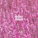 오성농원