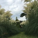 청산정원 이미지