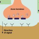 영등포치과기공소 이미지