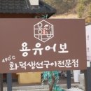 용유어보