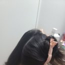 젤로헤어