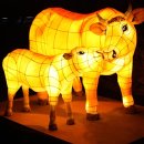 진주 남강유등축제 일정 코스 주차 먹거리 이미지