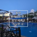 캐리비안캠프 | 서울 근교 당일 바비큐 가능한 곳 용인 캐리비안 캠프 후기