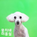 뭉치네 미용실 이미지
