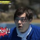 기장애견 이미지