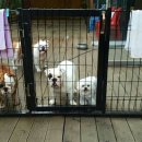 하늘채펜션 이미지