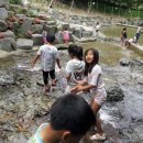 대운산자연휴양림 이미지