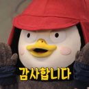 더베이지 메이크업샵