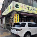 팔등로L 네이버블로그