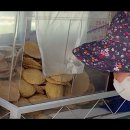 노방(안노방) 이미지