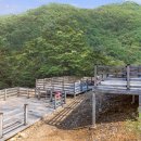 다대주유소 이미지