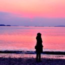 라이브카페바람바람