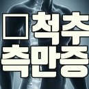 서울필정형외과의원 이미지