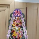 오에스팜 이미지