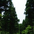 영화마을 이미지