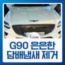 엠몬스타스팀손세차 | 차량 담배냄새제거ㅣ숨겨진 은은한 악취도 잡아드립니다