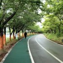 영랑호 입구 이미지