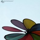 목련초등학교 이미지