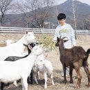 너른마당축산