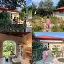 미미캣살롱&고양이호텔 | 제주 서귀포 안덕 카페 동화 속 같은 분위기의 오마이살롱