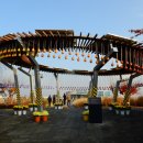 물꽃정원 이미지