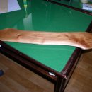 강경젓갈시장 이미지