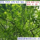 만수 공인중개사사무소 이미지