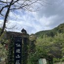 선류산장 | 포항 숲속 카페 자연 뷰가 멋진 선류산장 후기