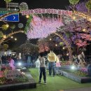 더 네모 | 의사당 벚꽃현황 야간벚꽃길 | 4.5.14시 블랙이글스 비행 | 더현대팝업 먹거리 쫀득네모네 해신닭꼬치 후기