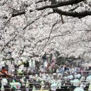 진해구 ⓒ-27 이미지