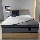 553 이미지