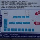 솔잎매점