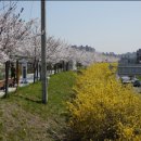 우이천변4(신화초교) 이미지