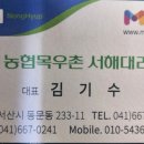 명품닭고기 이미지