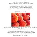 피부 - 블렉헤드 & 넓어지는모공 & 꿀을 이용한 여러가지 팩 이미지