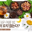 무더운 여름 밤 불면증에 좋은 6가지 차 이미지