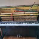 서진상회 이미지