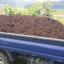 승기농장 이미지