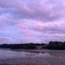 카우글램핑 이미지