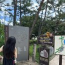 우정문화마을F | 안동 당일치기 여행(하회마을, 낙강물길공원, 구름에396카페, 월영교, 우정숯불갈비)