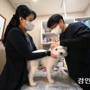 한민동물병원 이미지