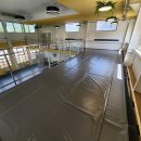 프렌즈 애견 이미지