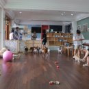 봉주르봉구 이미지